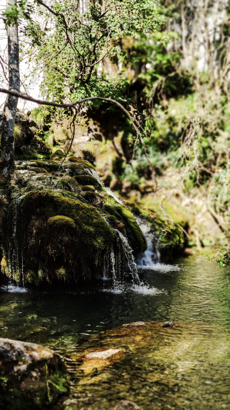 cascade-verte-vercors-randonnee (1)