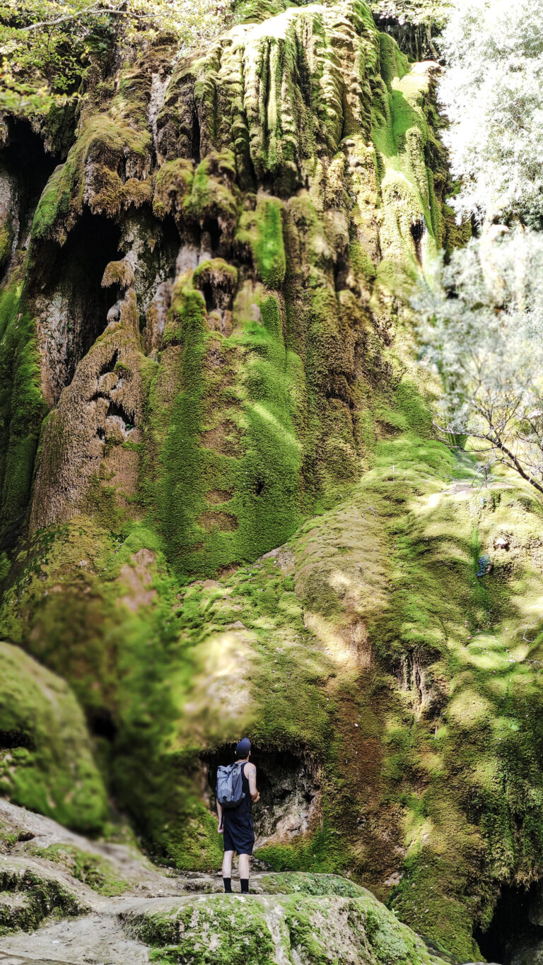 cascade-verte-vercors-randonnee (9)