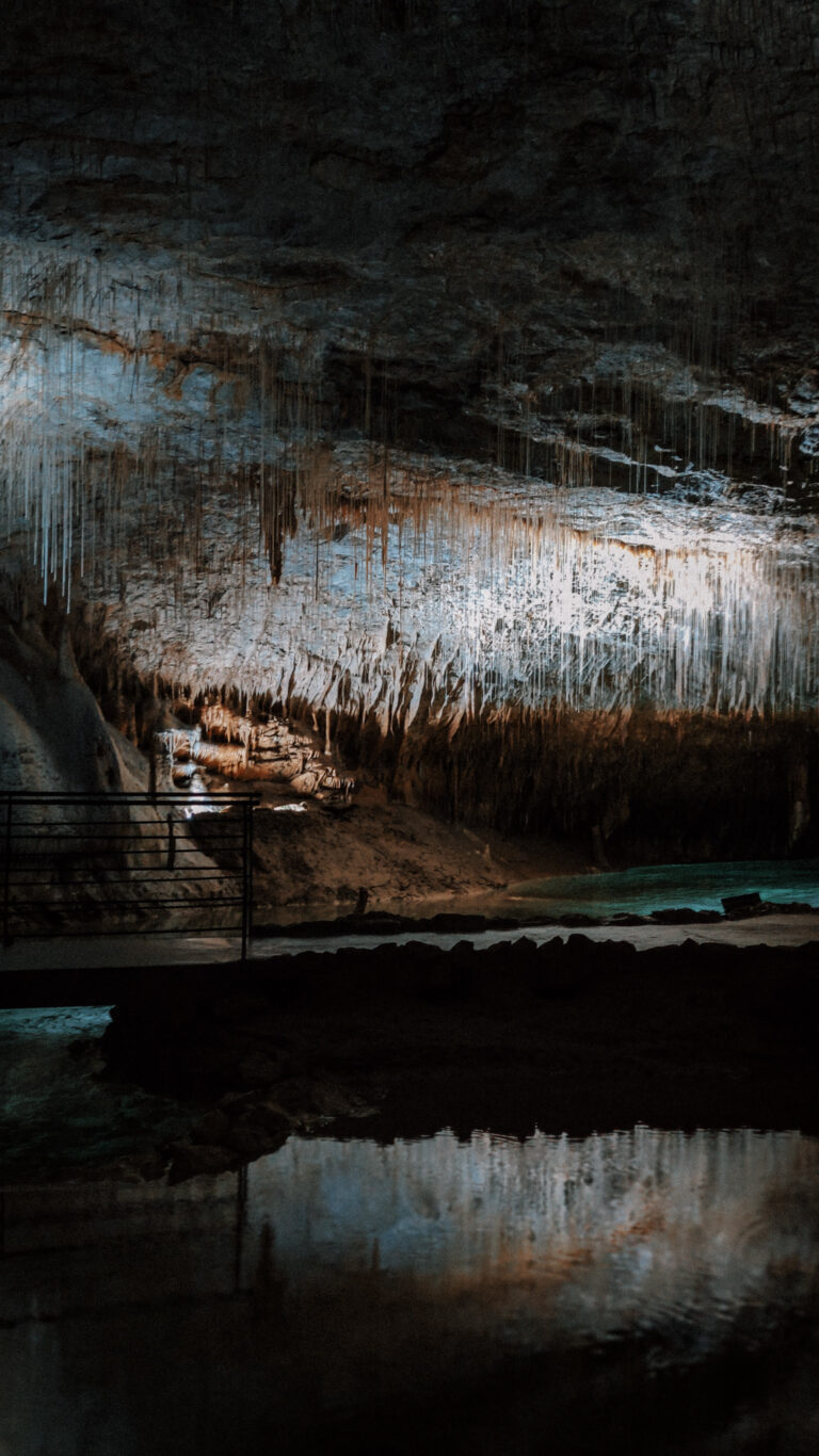 grotte-choranche-stalactites-vercors (9)
