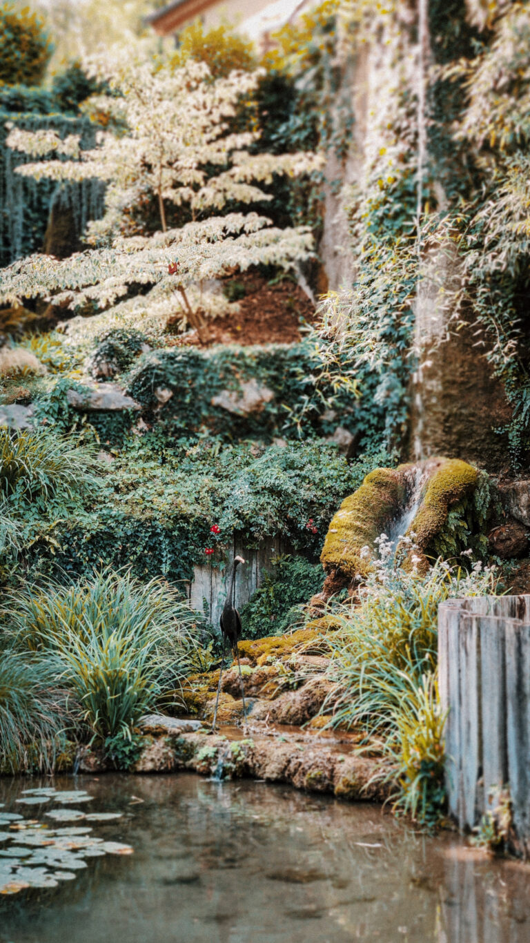 jardin-fontaines-petrifiantes-vercors (1)