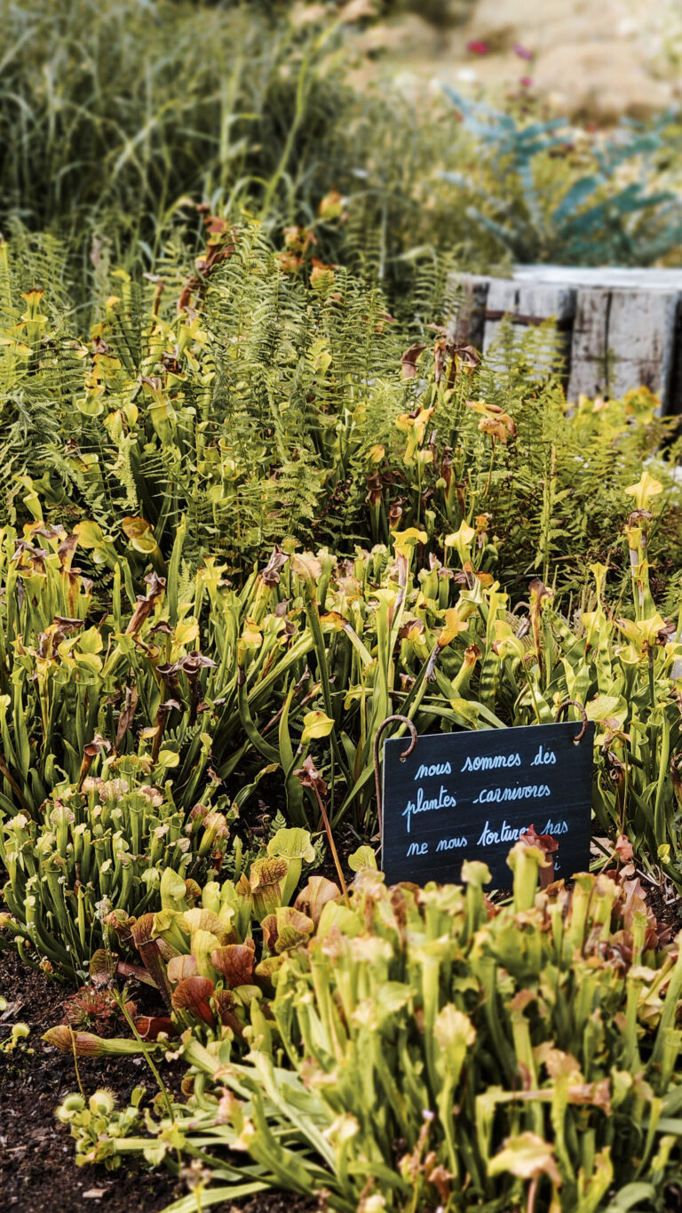 jardin-fontaines-petrifiantes-vercors (2)