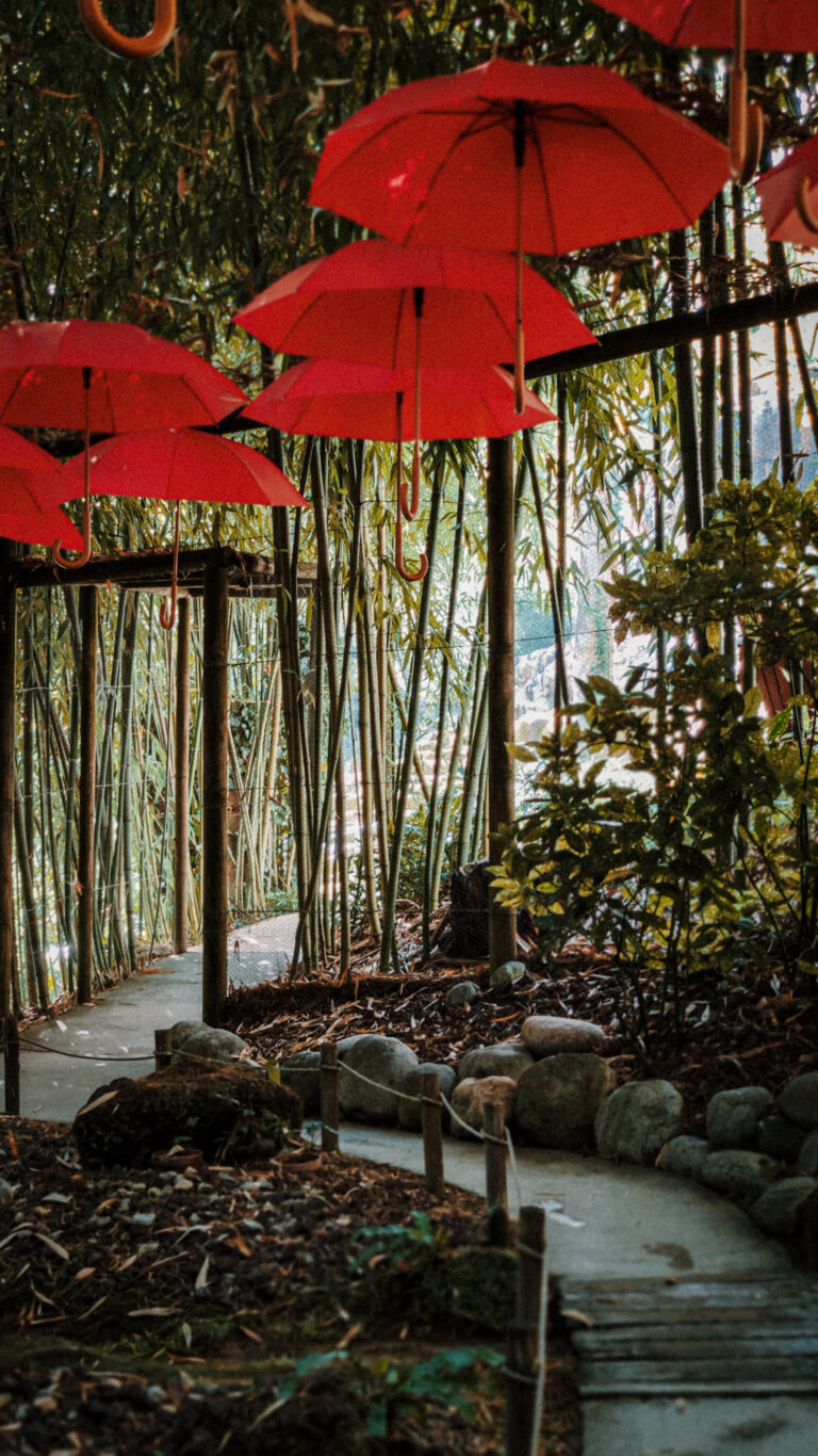 jardin-fontaines-petrifiantes-vercors (6)