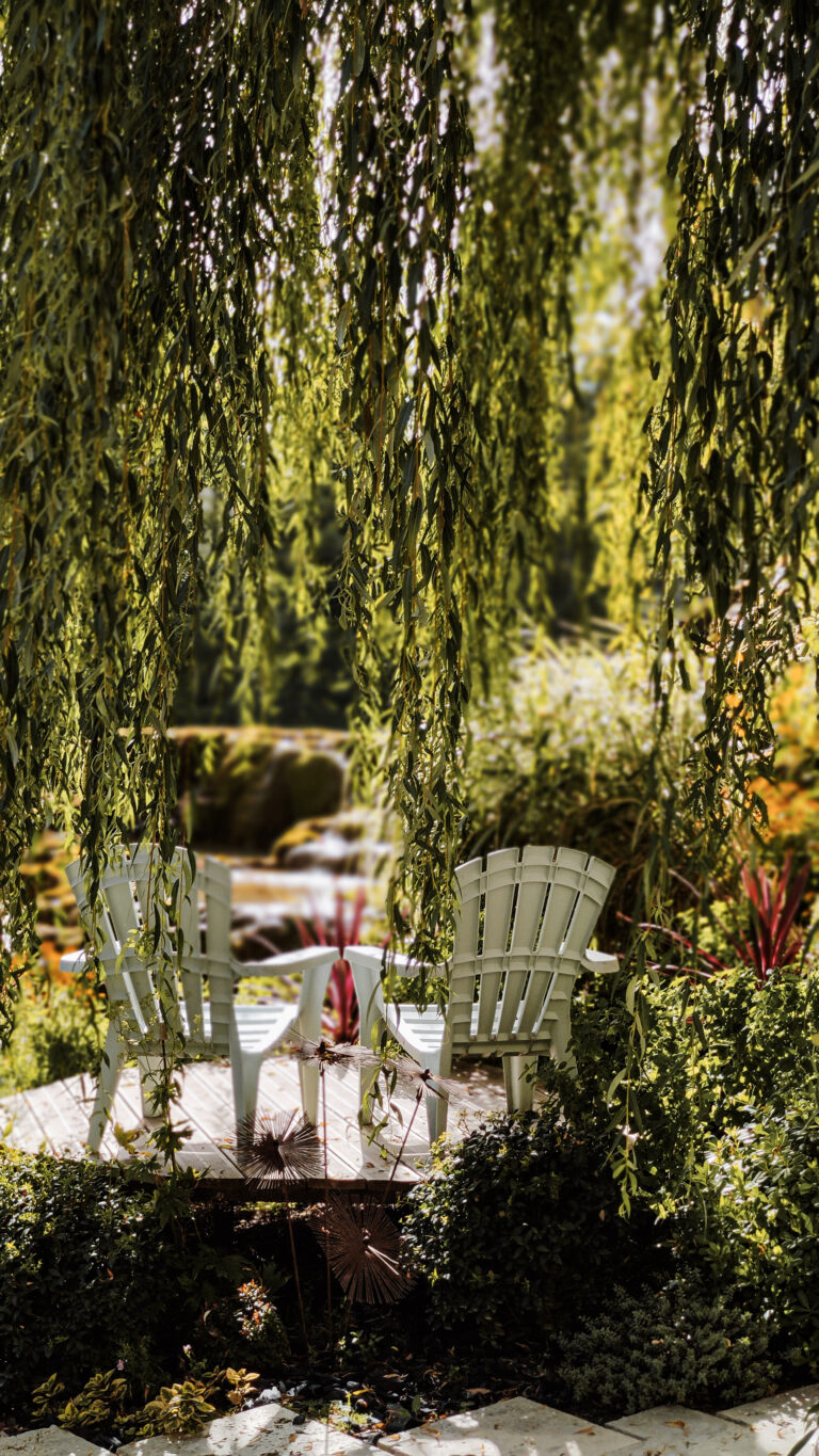 jardin-fontaines-petrifiantes-vercors (7)